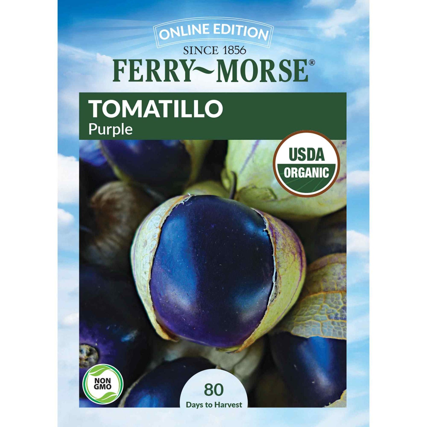 Tomatillo, Purple Organic Seeds