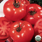 Tomato, Delicious Organic Seeds Online Edition