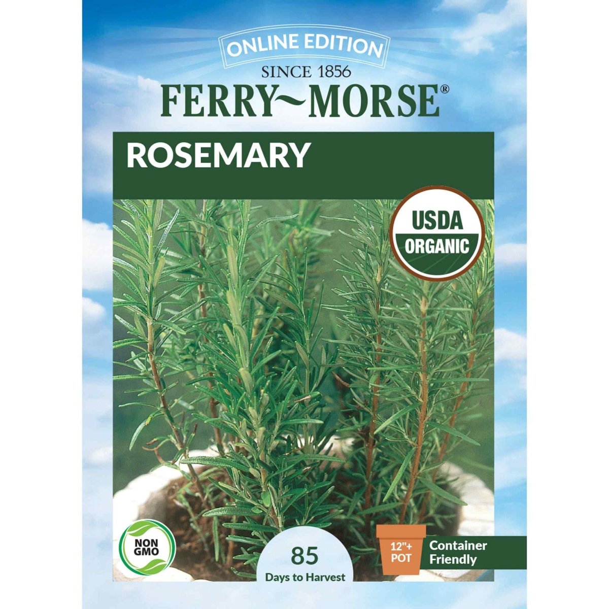 rosemary seeds from plant Rosemary Organic Seeds, 200mg