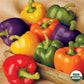 Pepper, Rainbow Blend Mix Organic Seeds Online Edition