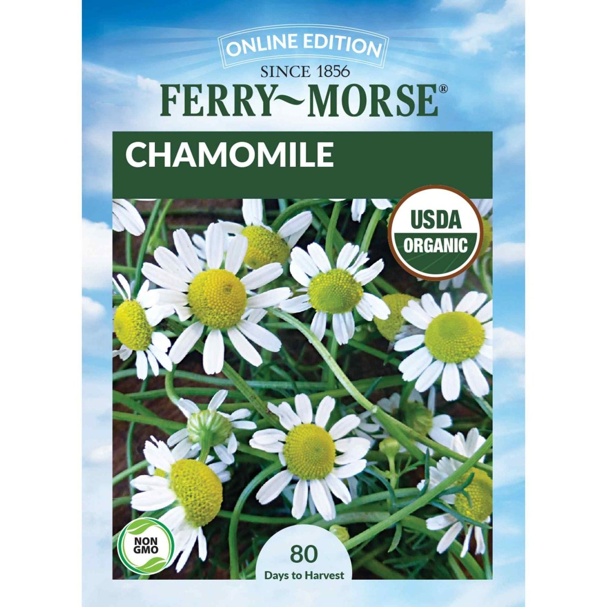 chamomile plant from seed Chamomile Organic Seeds, 200mg