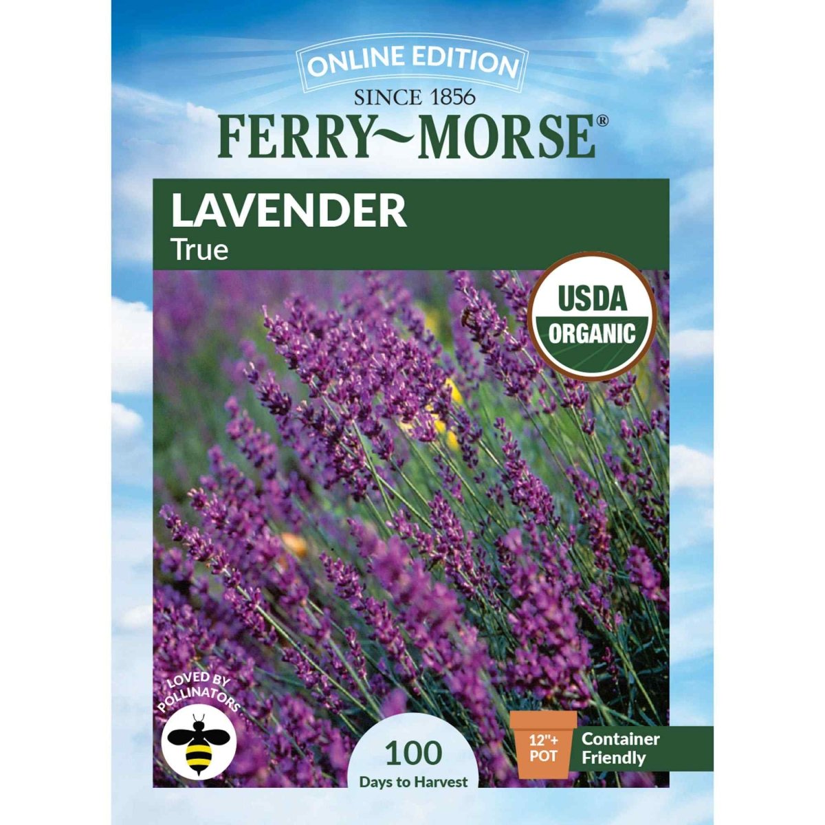 true lavender plant Lavender True Perennial Herb Organic Seeds from Ferry-Morse Seeds