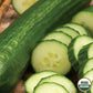 Cucumber, Spring Burpless Organic Seeds Online Edition
