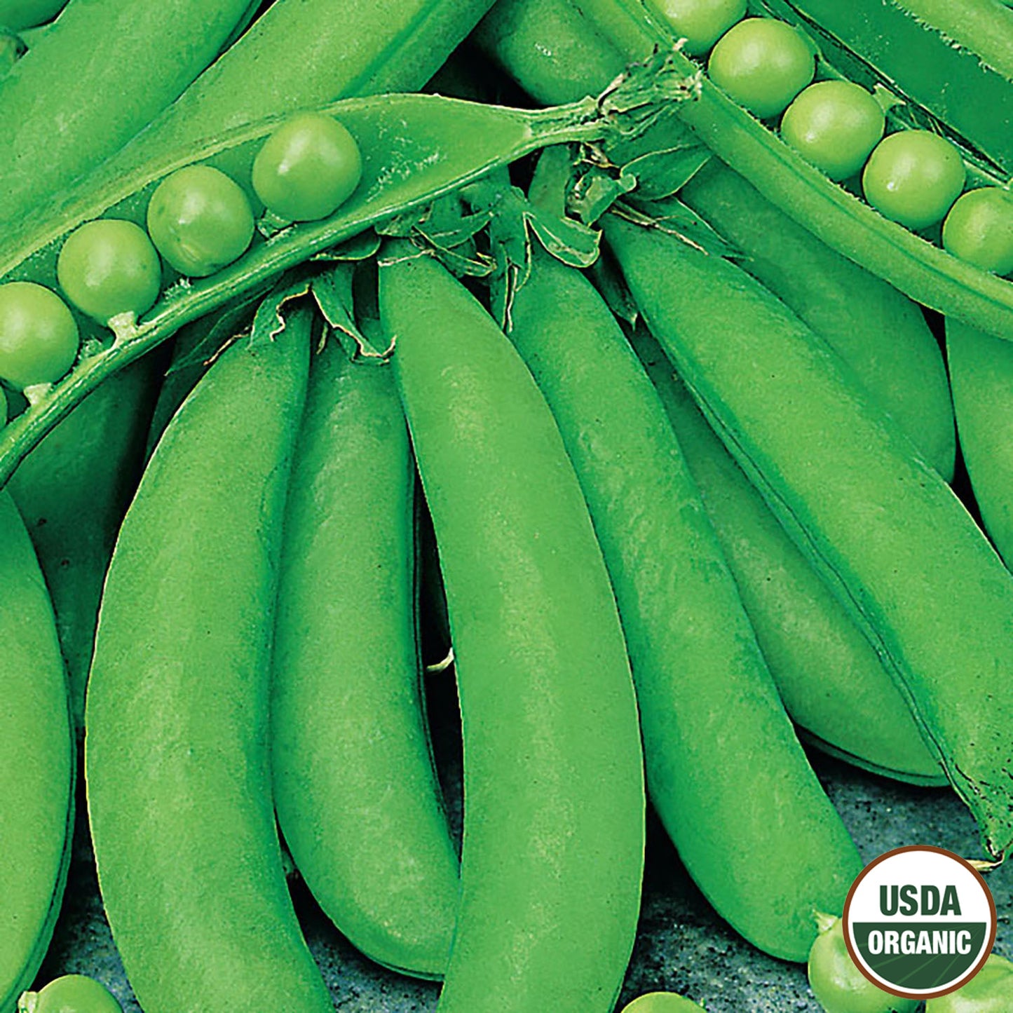 Pea, Cascadia Sugar Snap Organic Seeds Online Edition