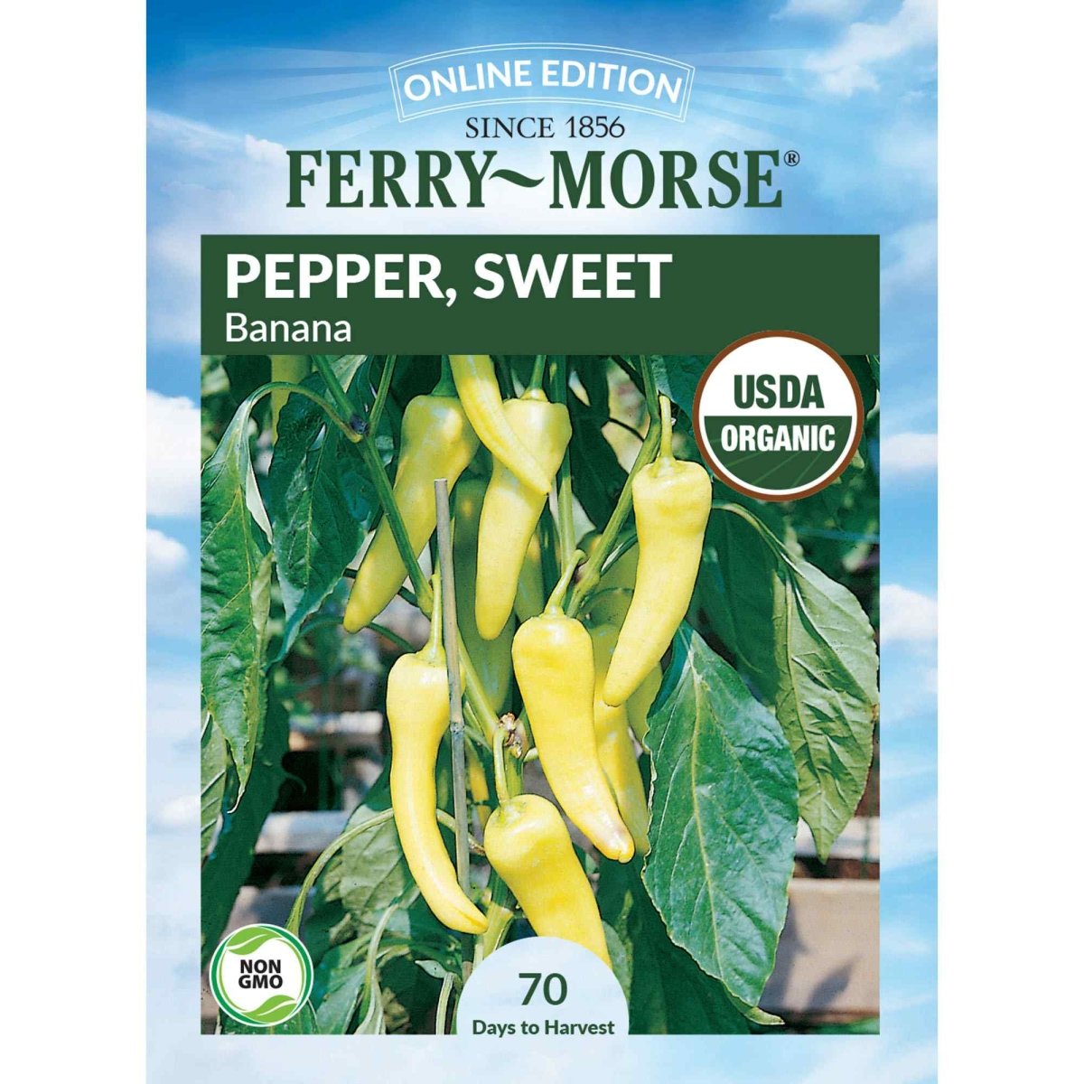 banana peppers seeds planting Pepper, Sweet Banana Organic Seeds, 400mg