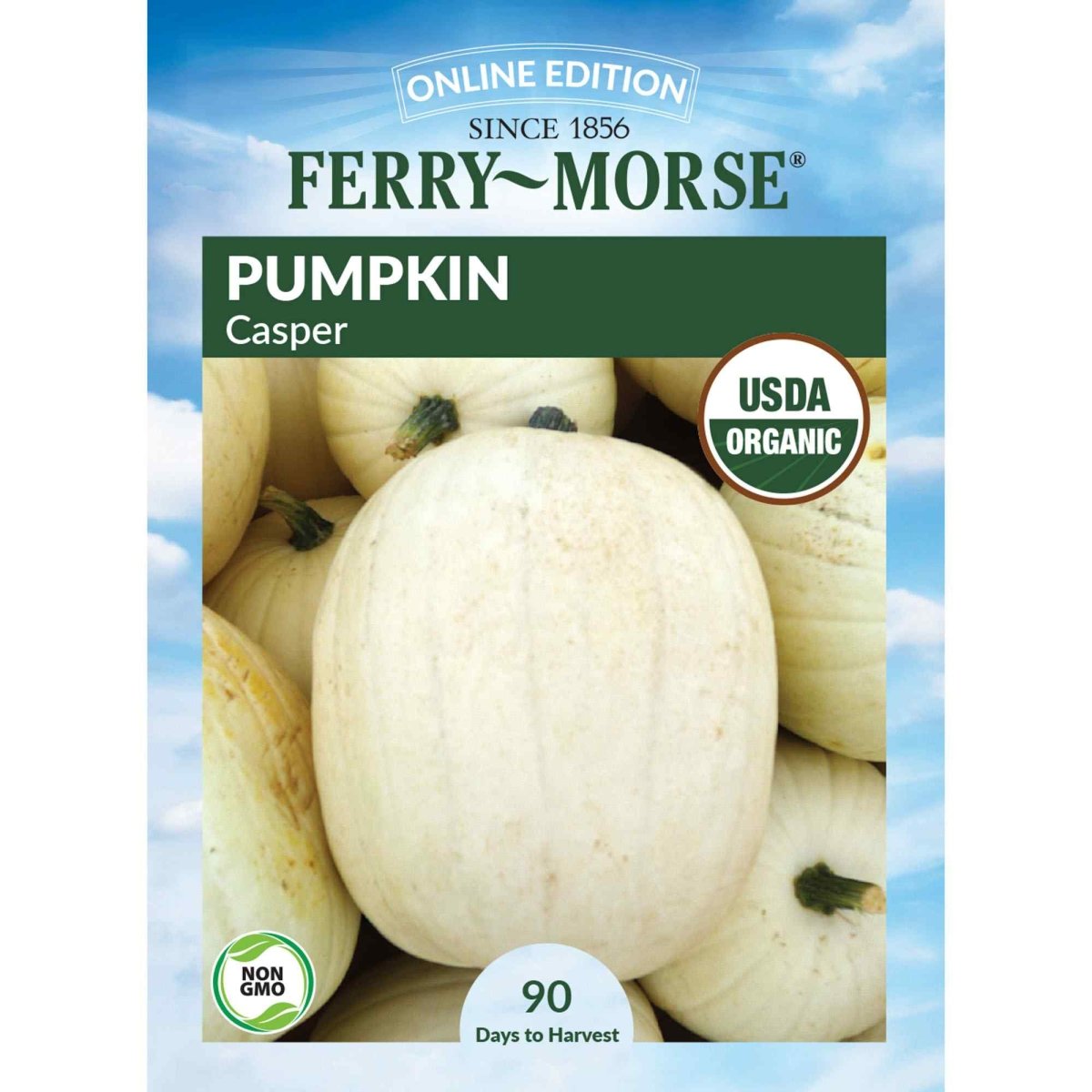 Pumpkin, Casper Organic Seeds | Organic Pumpkin | Vegetable Garden