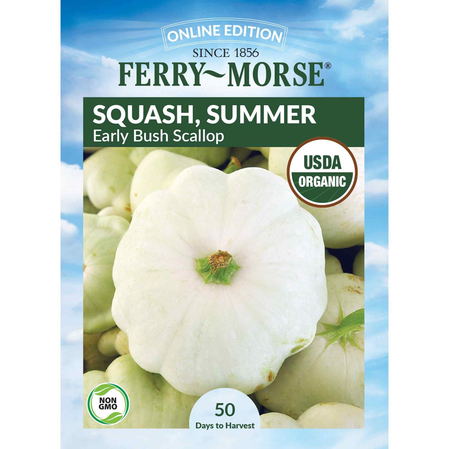 Squash, Early White Bush Scallop Organic Seeds