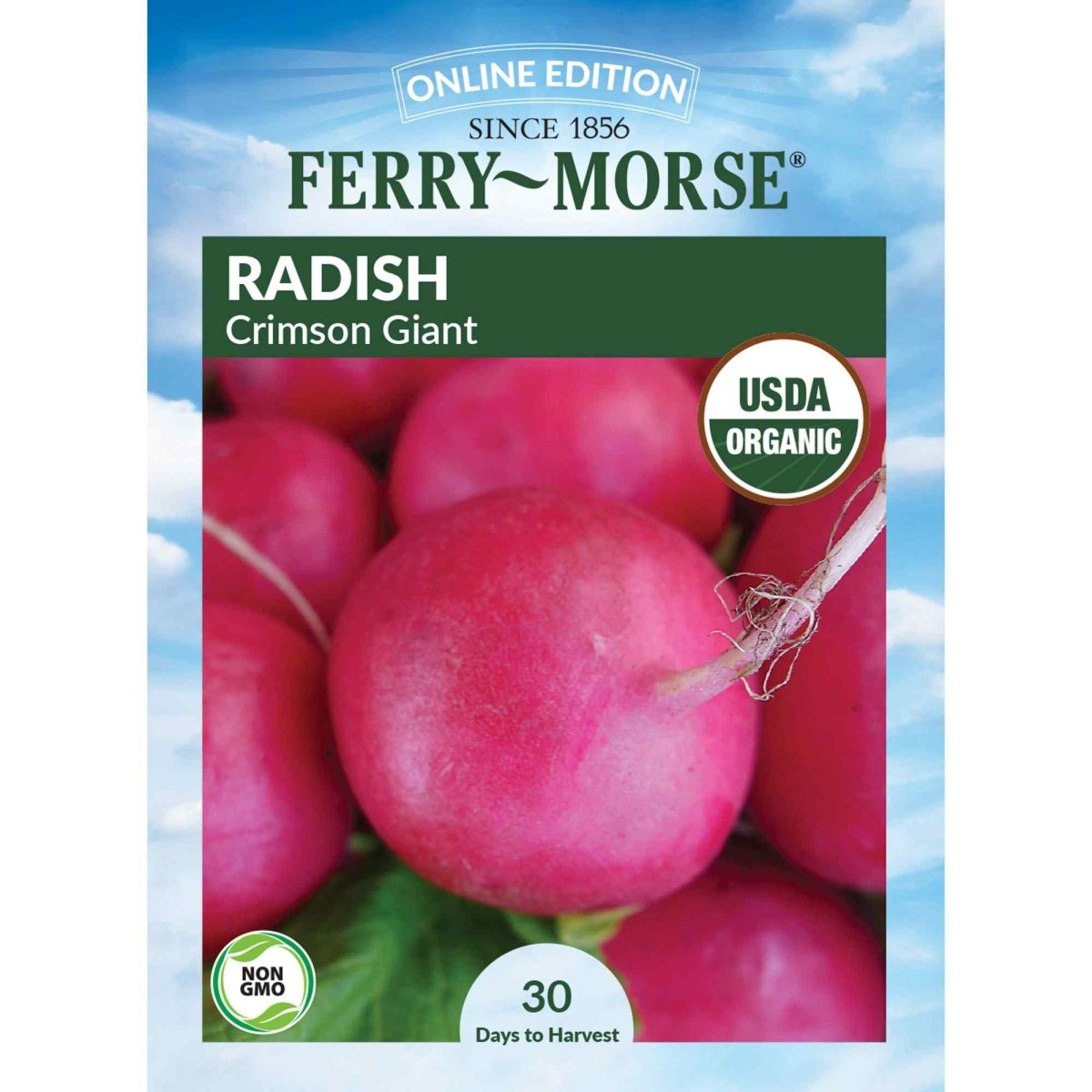 Radish Crimson Giant Seeds | Organic Radish Seeds | Home Garden