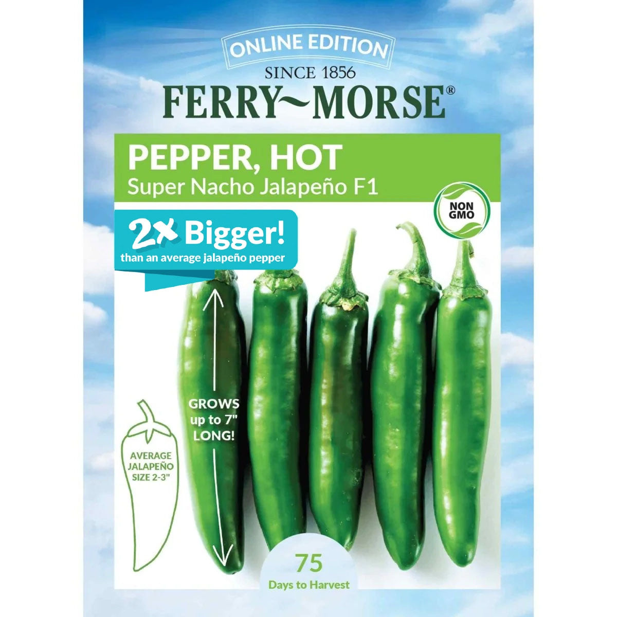 Ferry-Morse Nacho Jalapeno Pepper Seeds