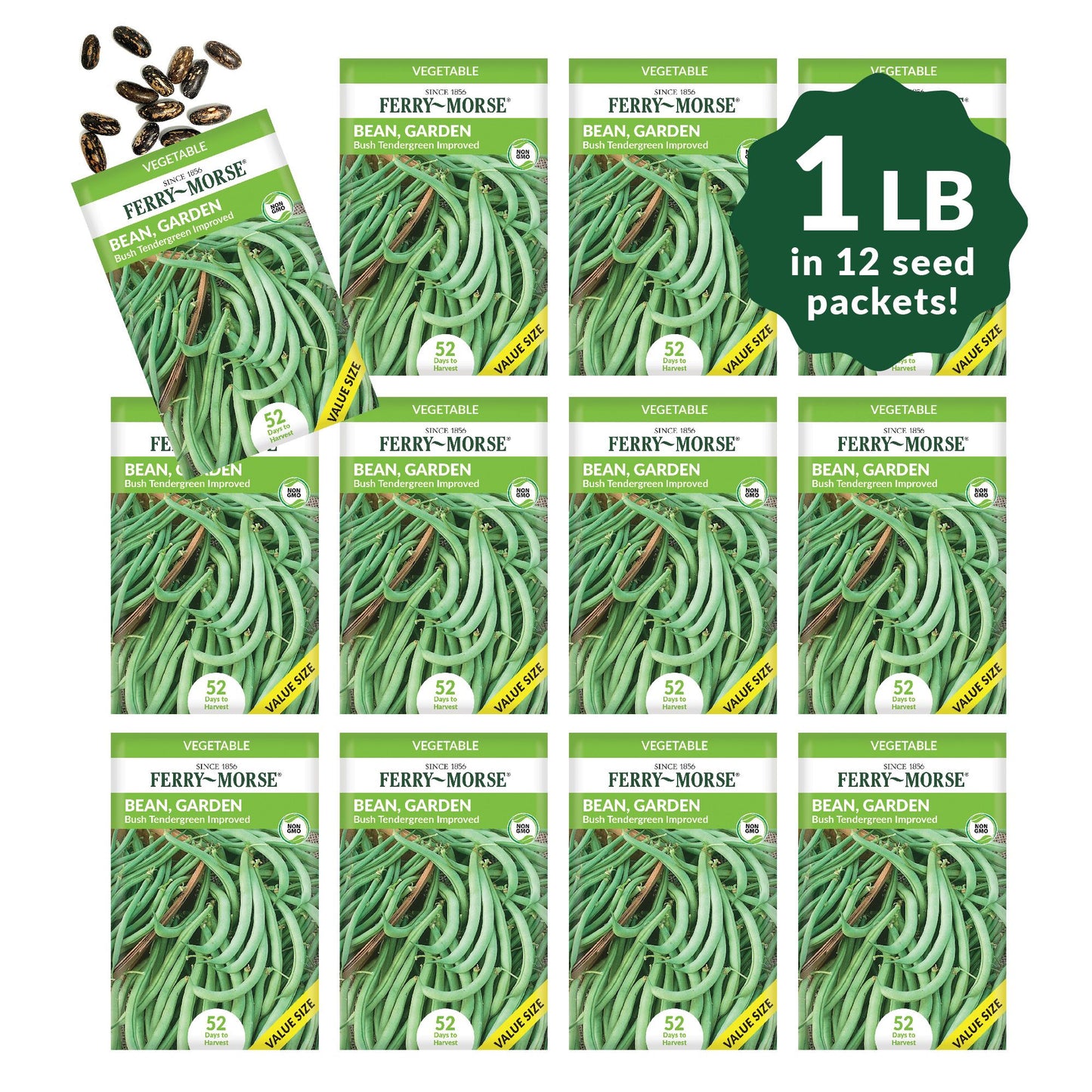 Bean, Bush Tendergreen Improved Economy Seeds