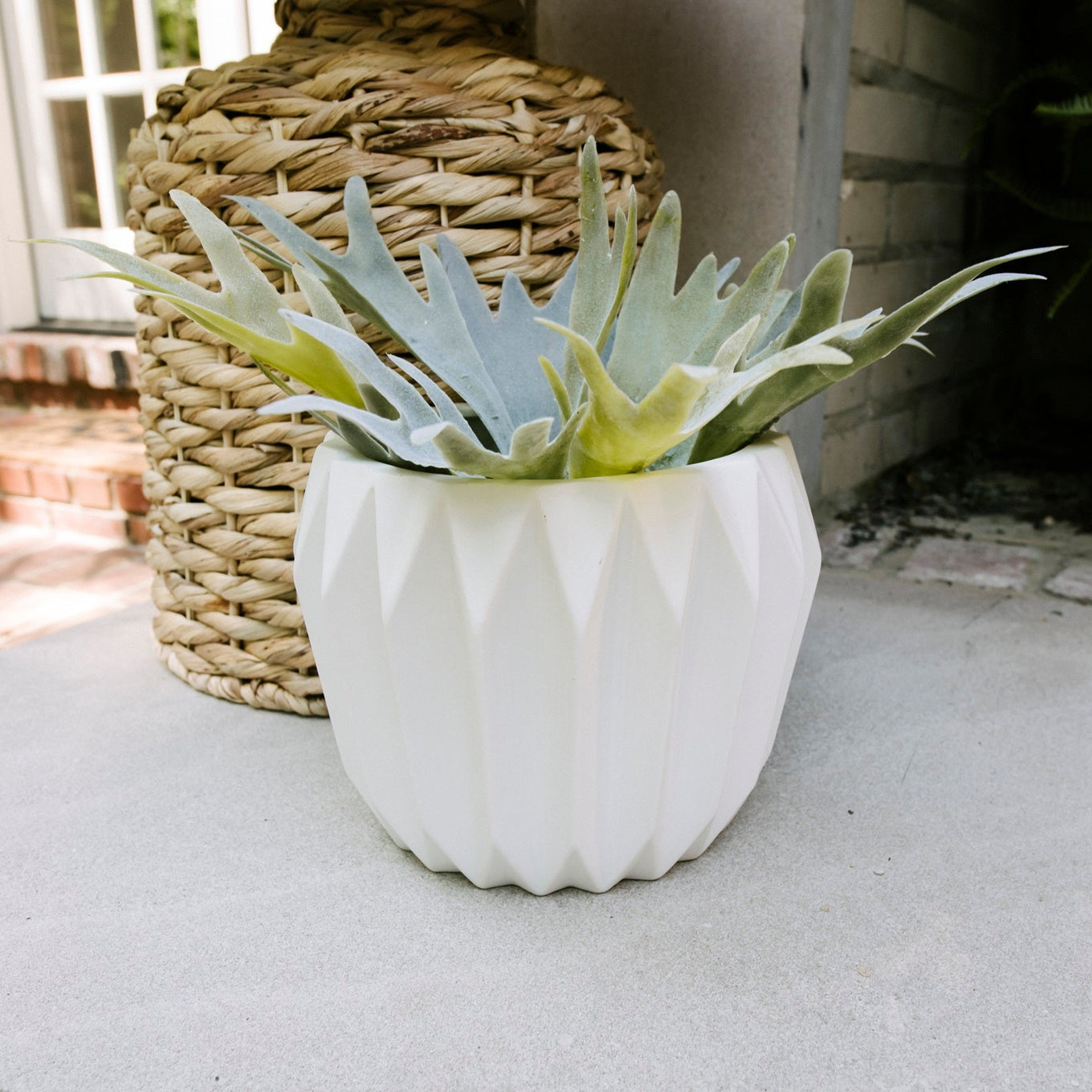 White pot with succulents on a surface outdoors