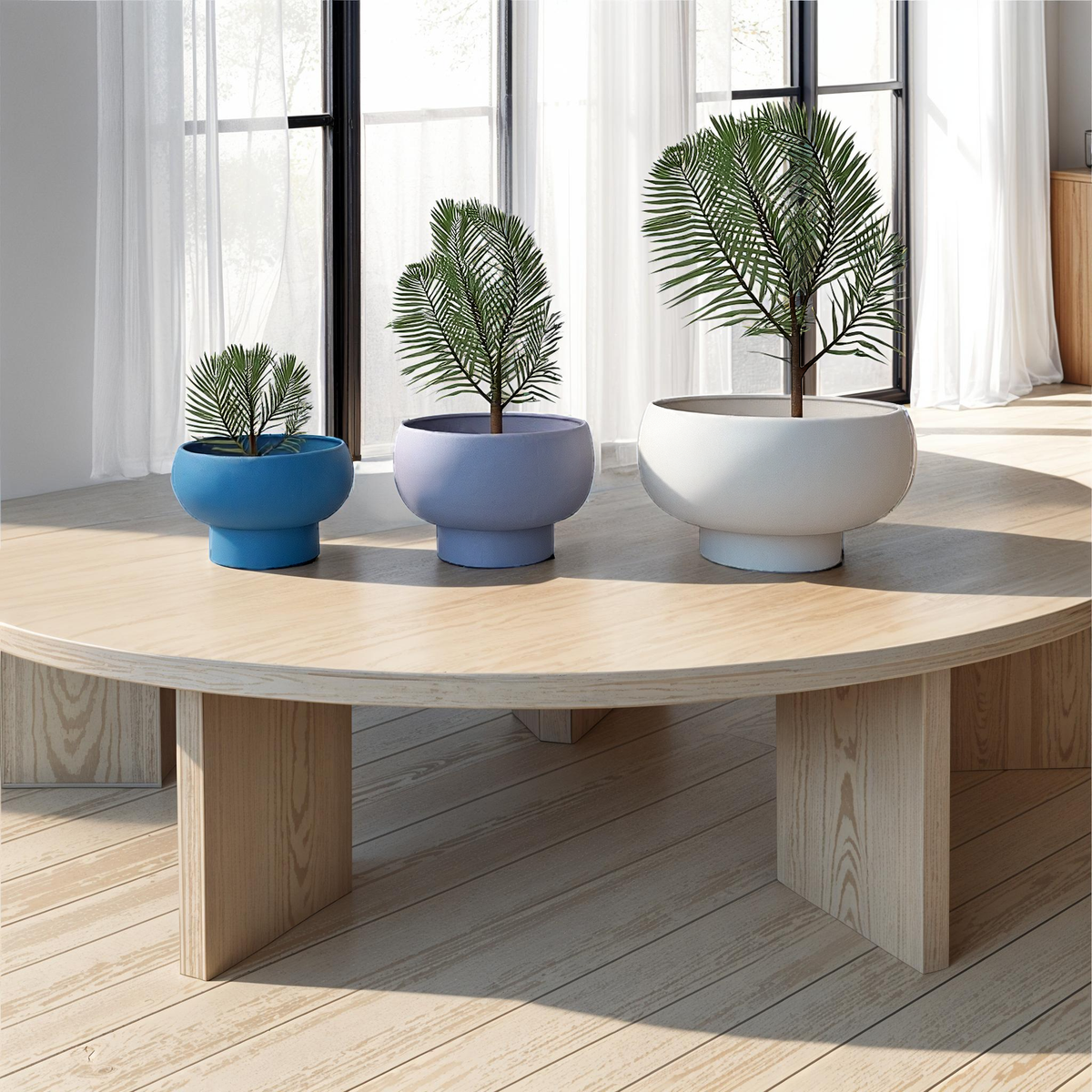 Three potted plants on a wooden table with large windows in the background