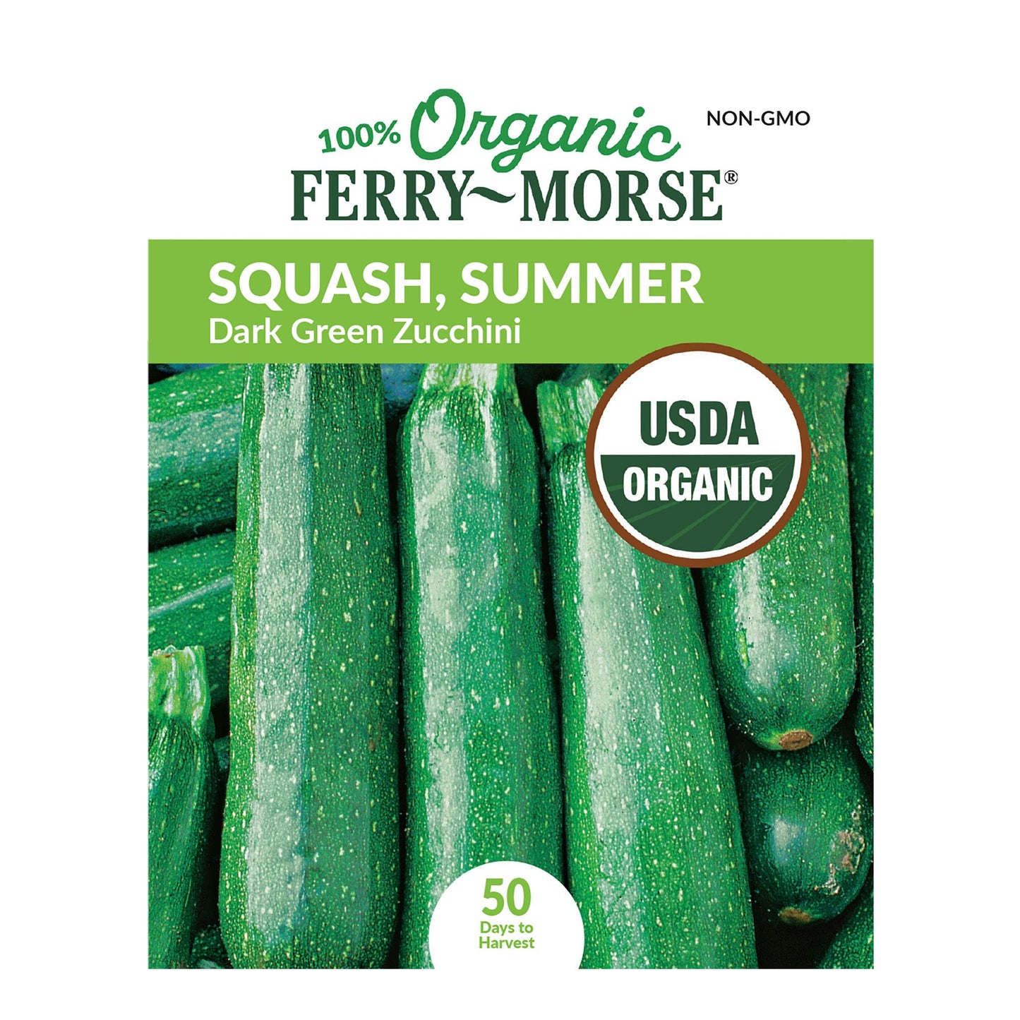 Squash, Dark Green Zucchini Organic Seeds
