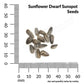 Sunflower, Dwarf Sunspot Seeds Online Edition