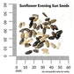 Sunflower, Evening Sun Mixed Colors  Seeds Online Edition