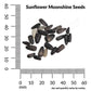 Sunflower, Moonshine Seeds Online Edition