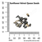 Sunflower, Velvet Queen Seeds Online Edition