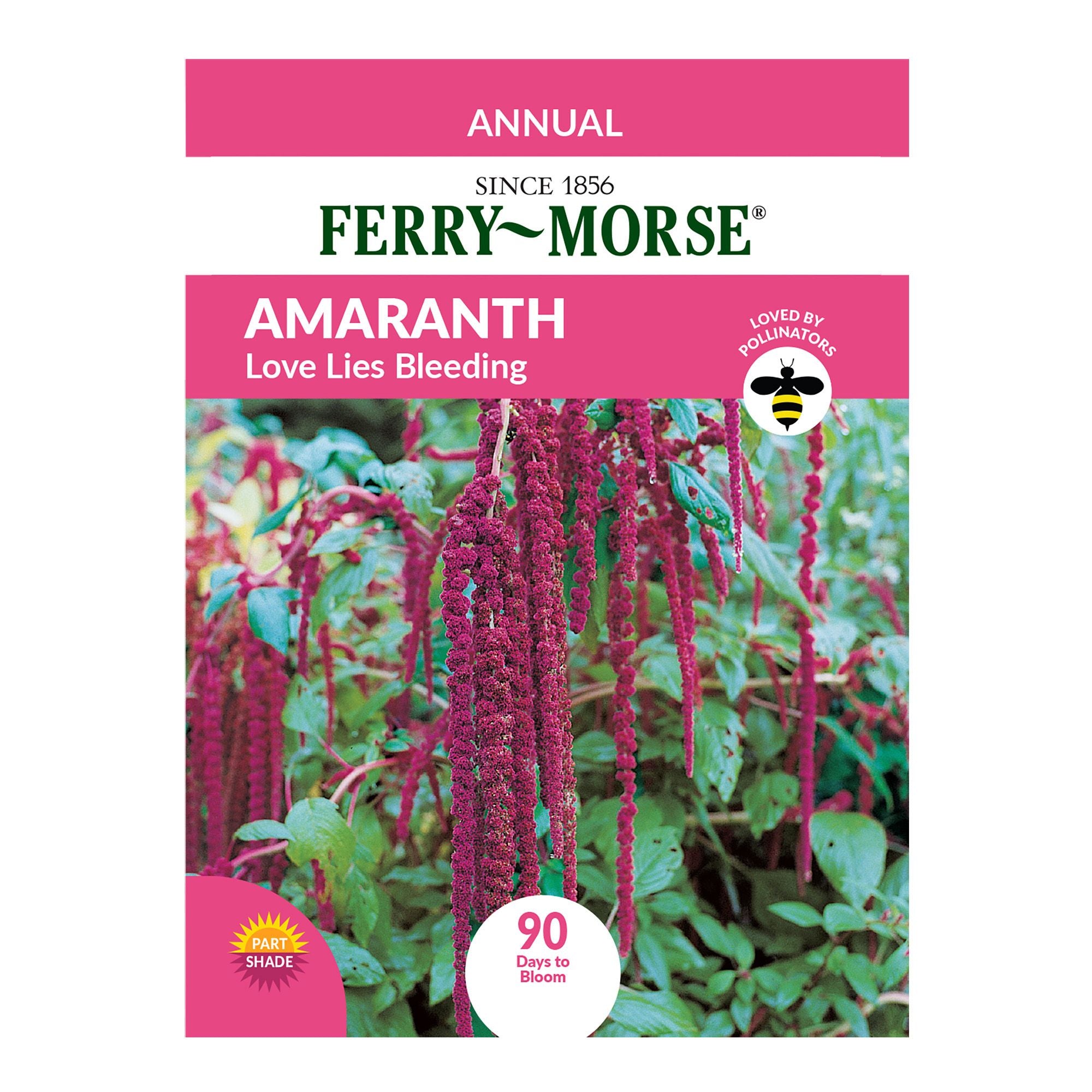 Amaranth, Love Lies Bleeding Annual Flower Seeds – Ferry-Morse