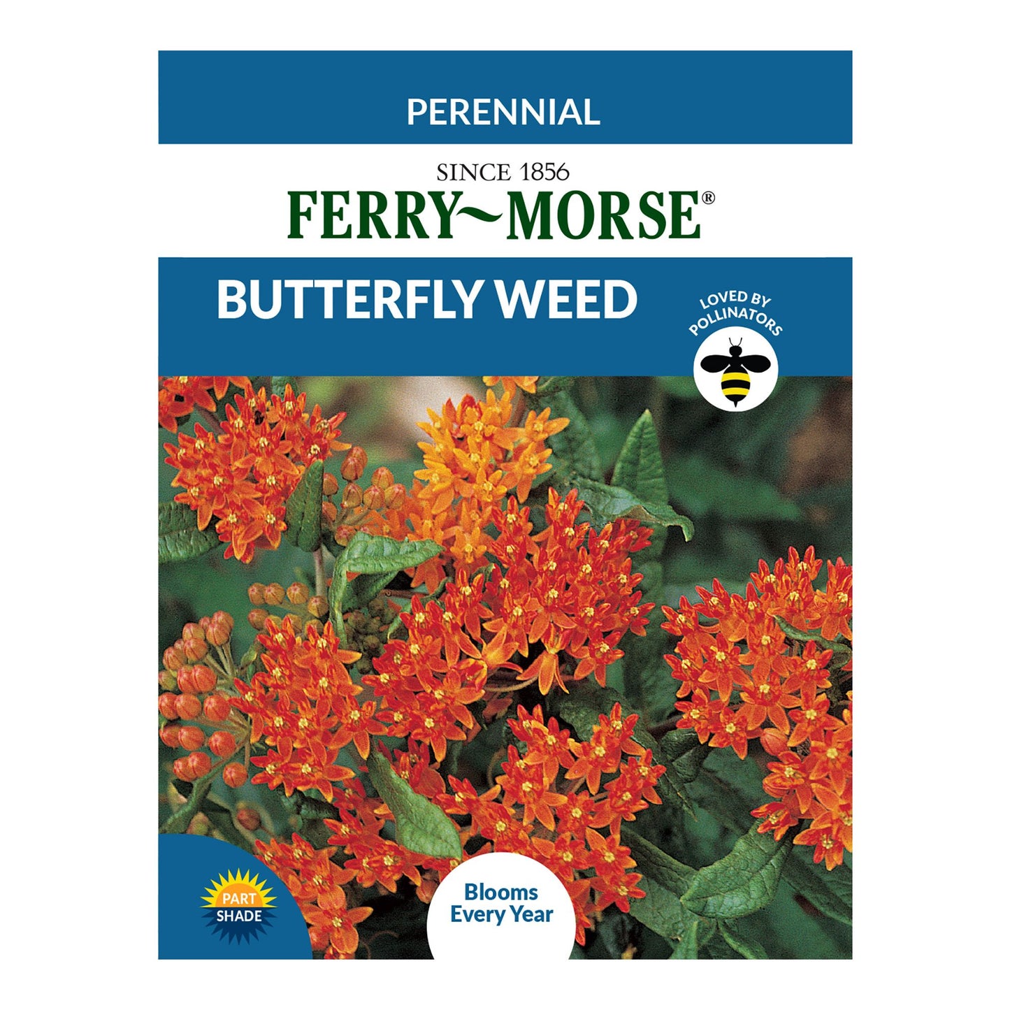 Asclepias Tuberosa, Butterfly Weed Seeds