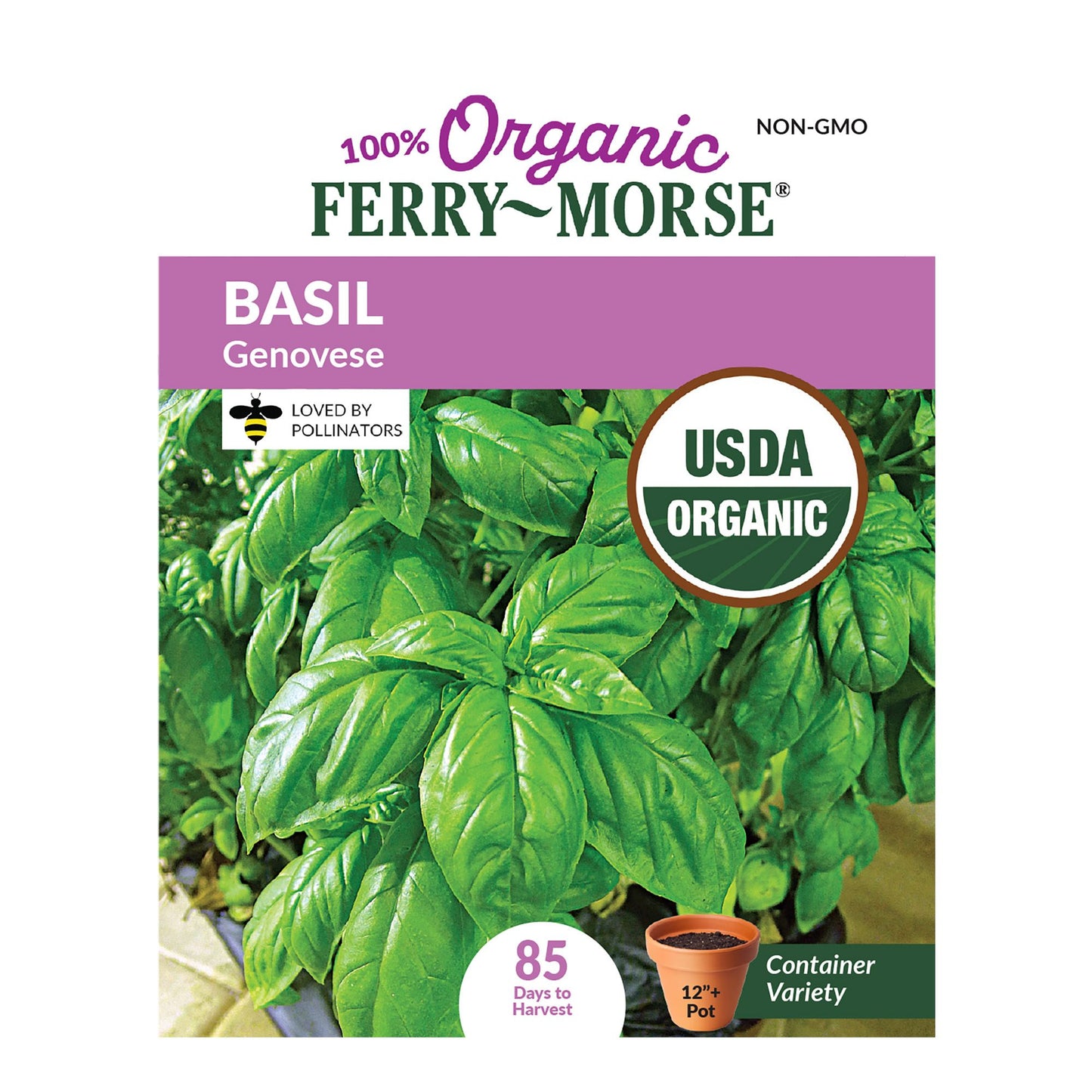 Basil, Genovese Organic Seeds