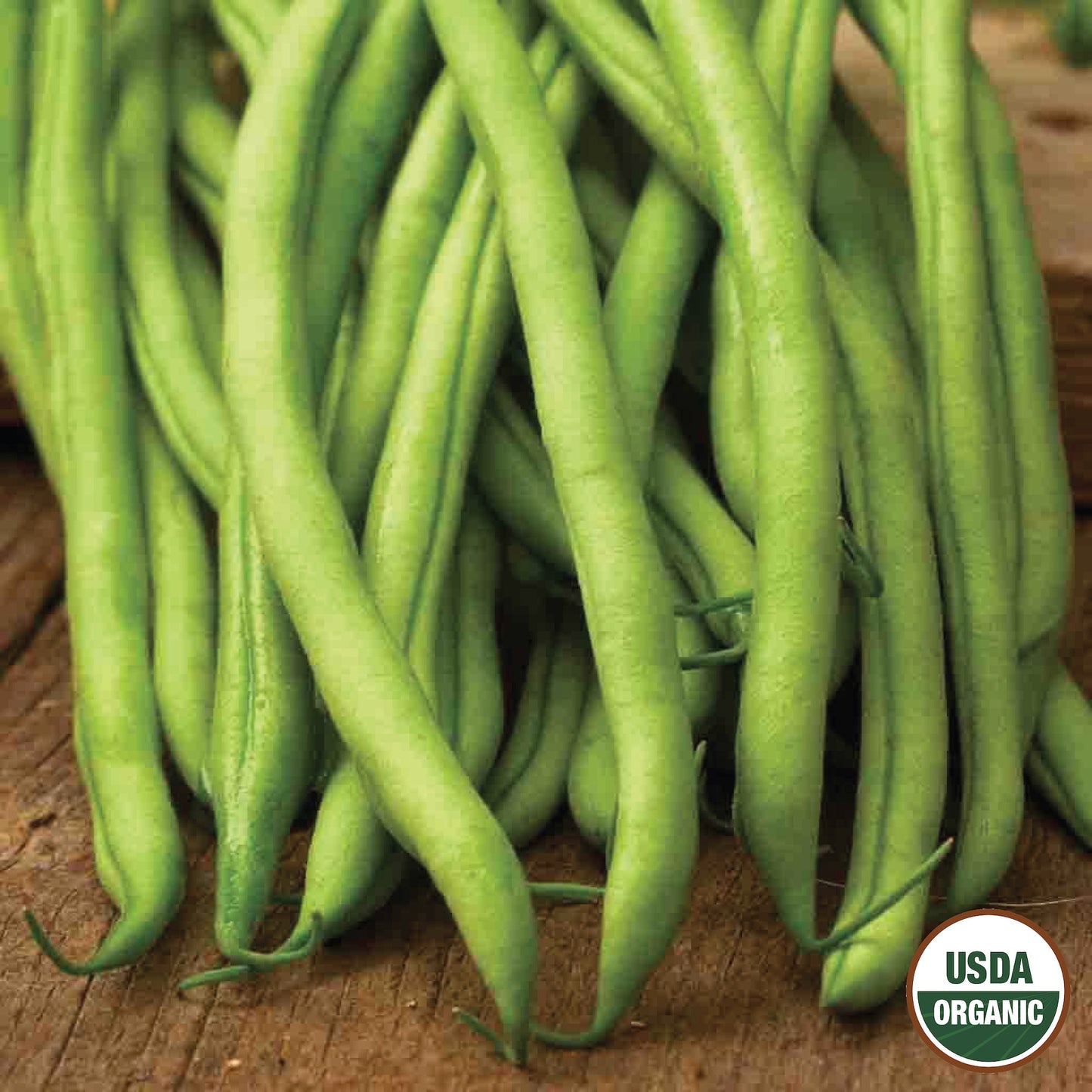 Bean, Blue Lake Stringless Pole Organic Seeds Online Edition