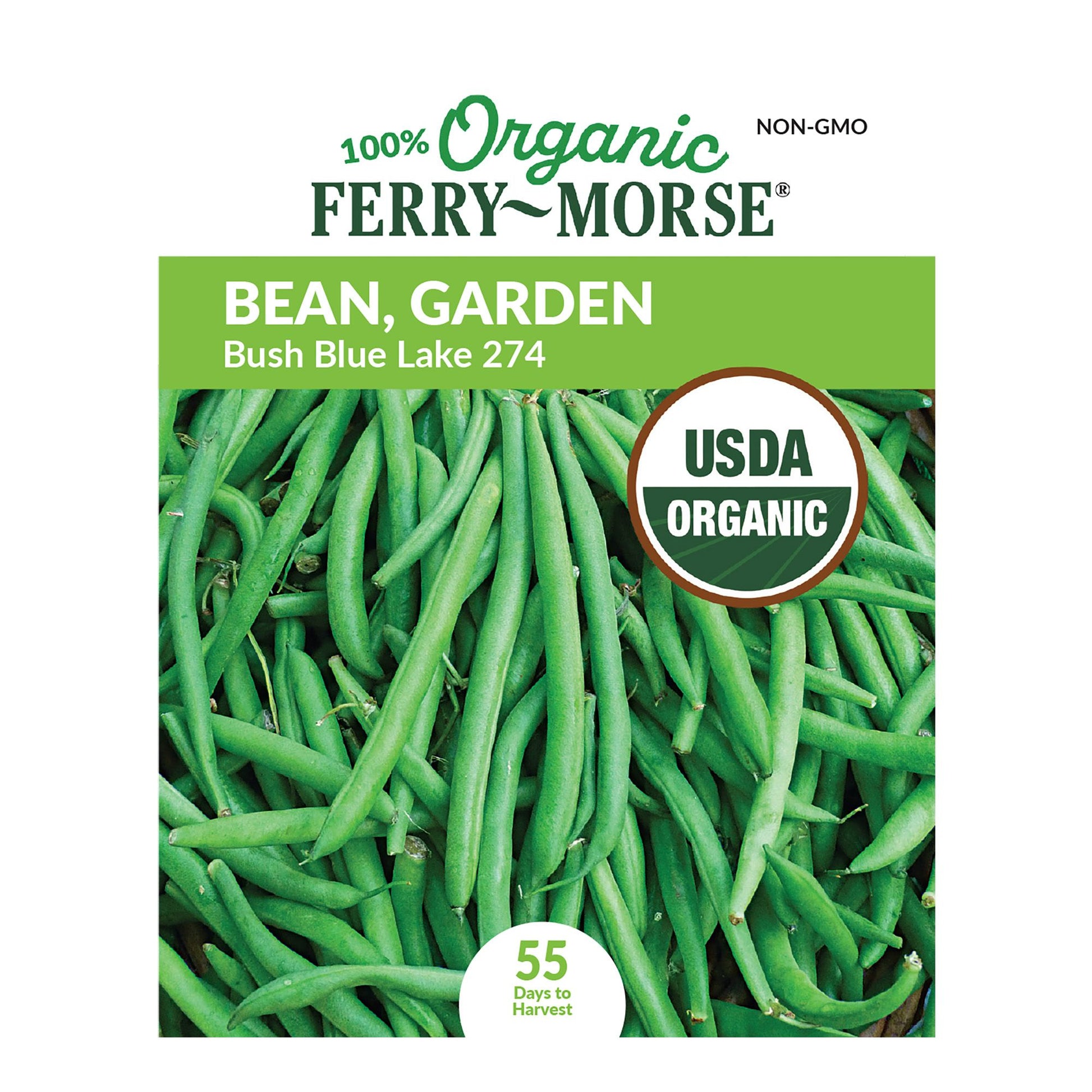 Bean, Bush Blue Lake 274 Organic Seeds Vegetable Garden FerryMorse