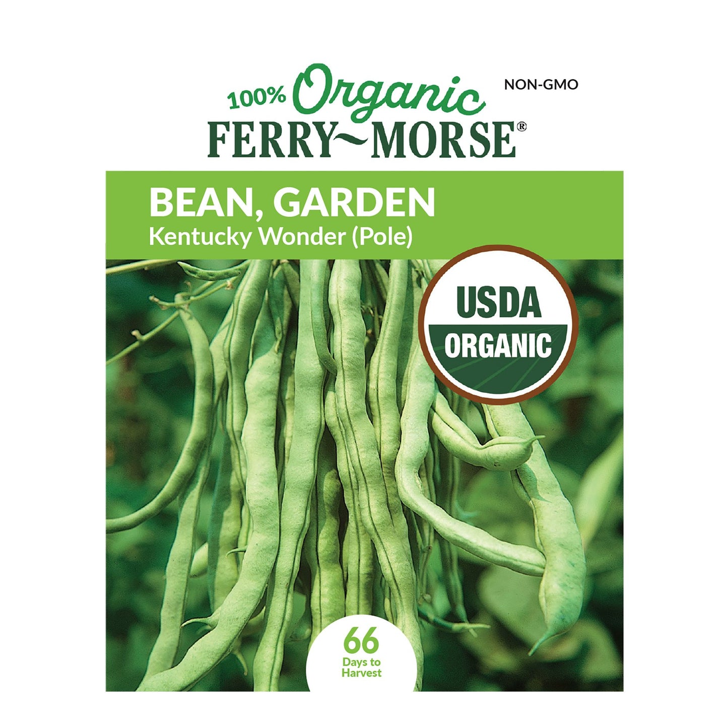 Bean, Kentucky Wonder Pole Organic Seeds