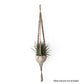 Macrame plant hanger with a pot on a white background