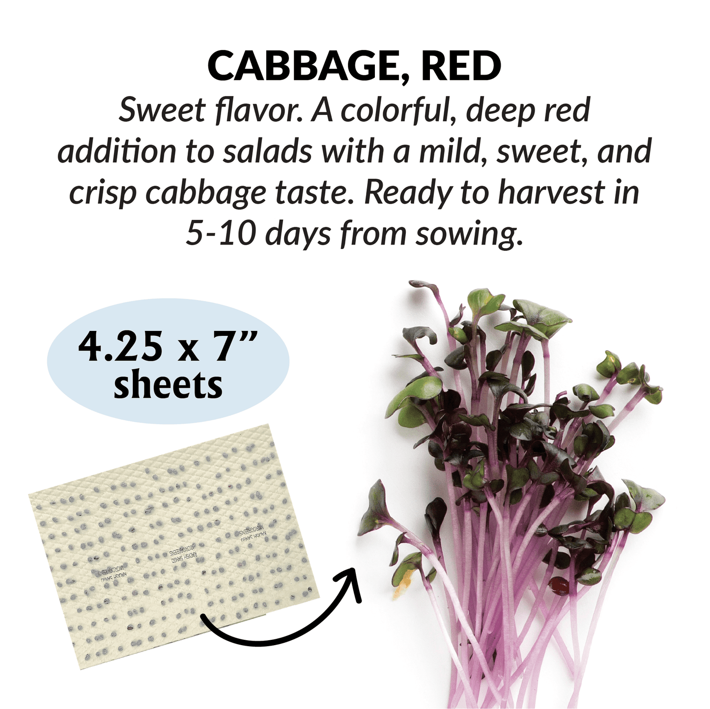 Cabbage Red Microgreen Refill Mat