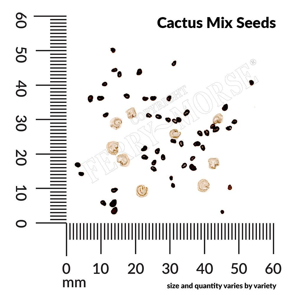 types of cactus seeds Cactus Mixed Varieties Seeds 300mg from Ferry-Morse Seeds