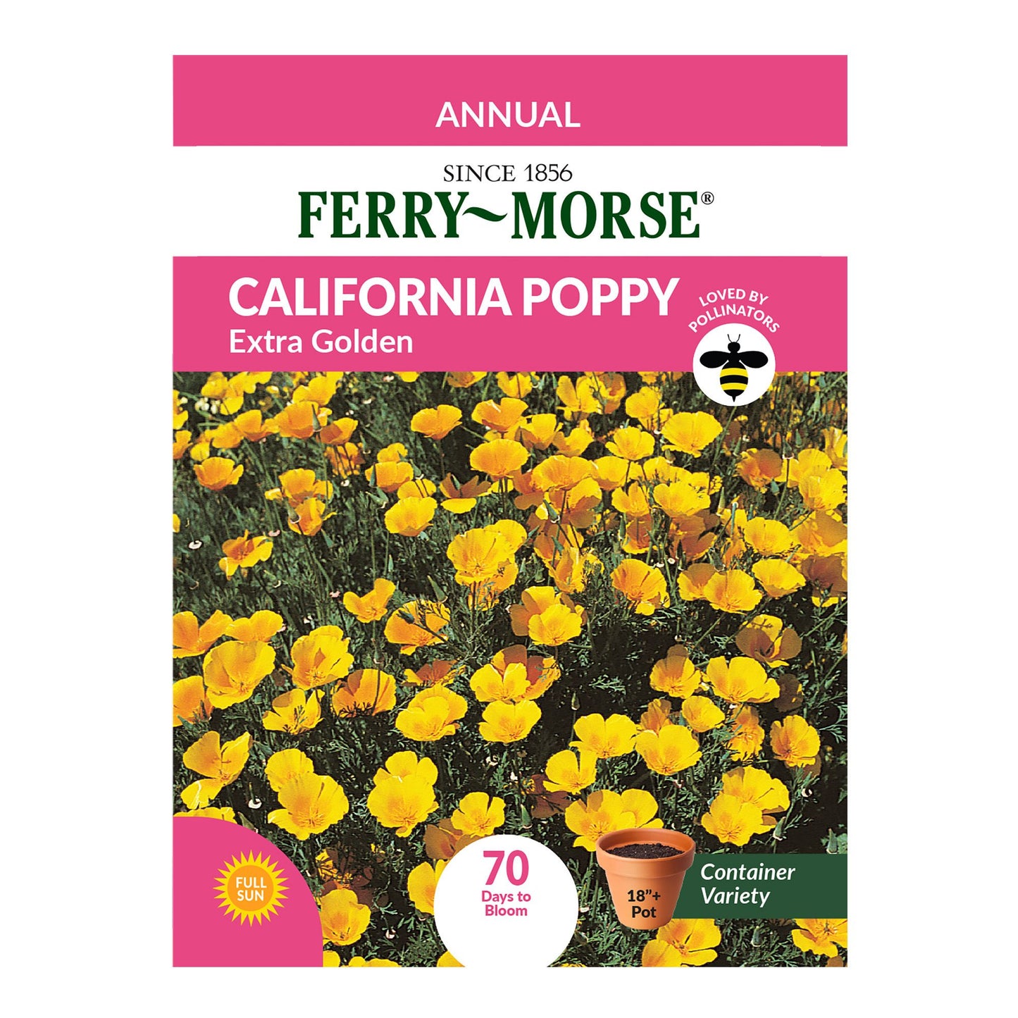 California Poppy, Extra Golden Seeds