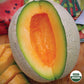 Cantaloupe, Sierra Gold Organic Seeds