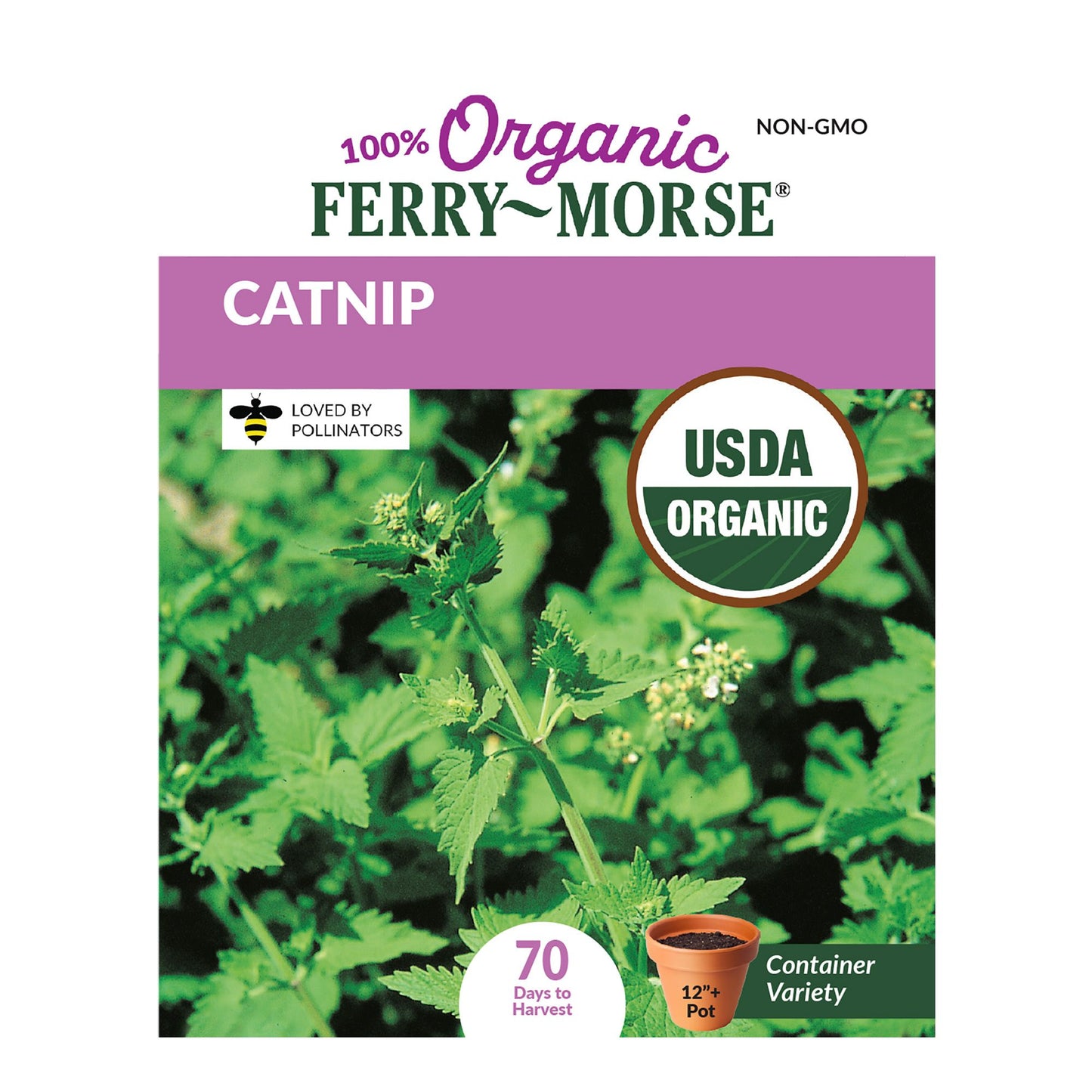 Catnip Organic Seeds