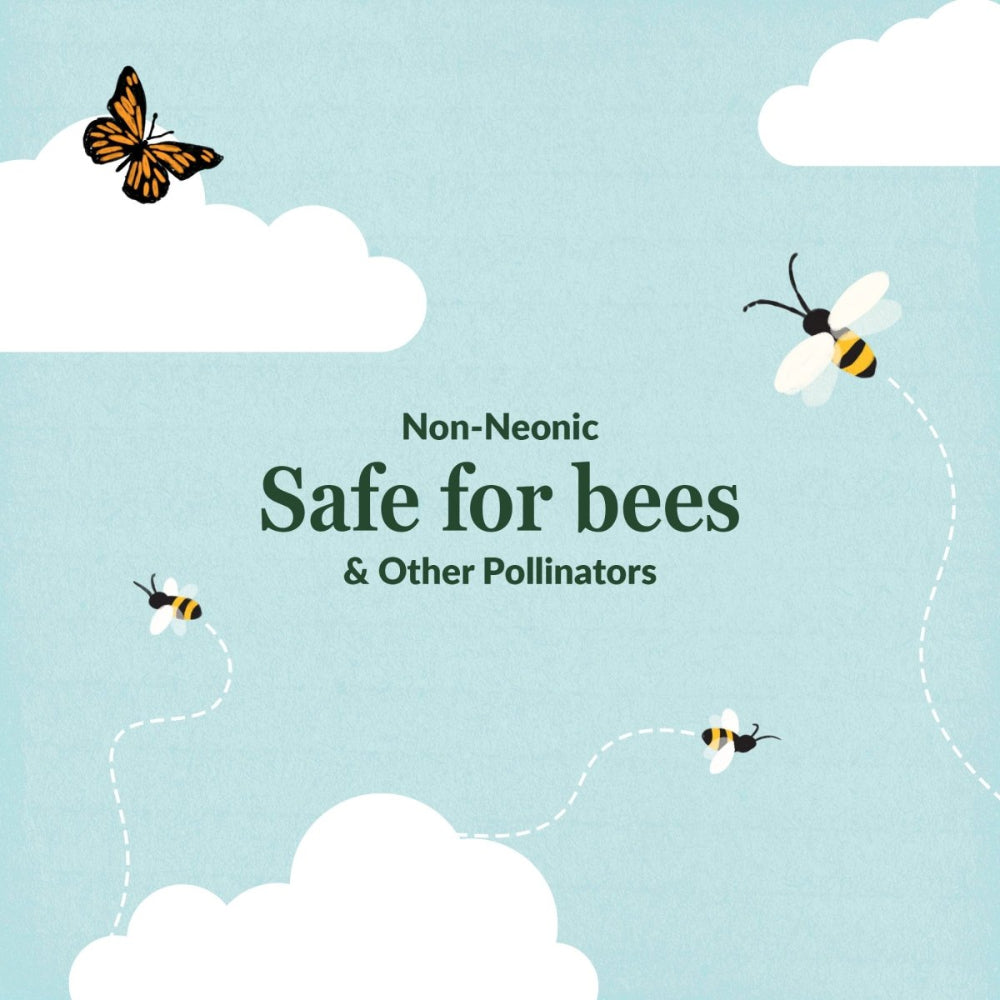 Cool Colors Mix Bulk Wildflower Seeds, 1lb - Ferry - Morse