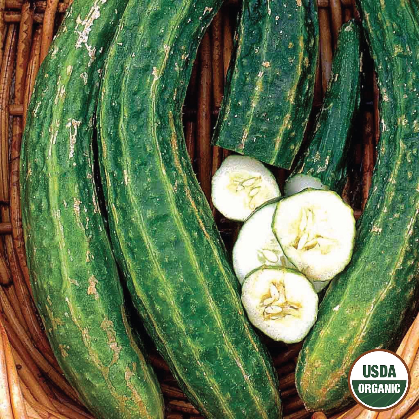 Cucumber, Armenian Organic Seeds
