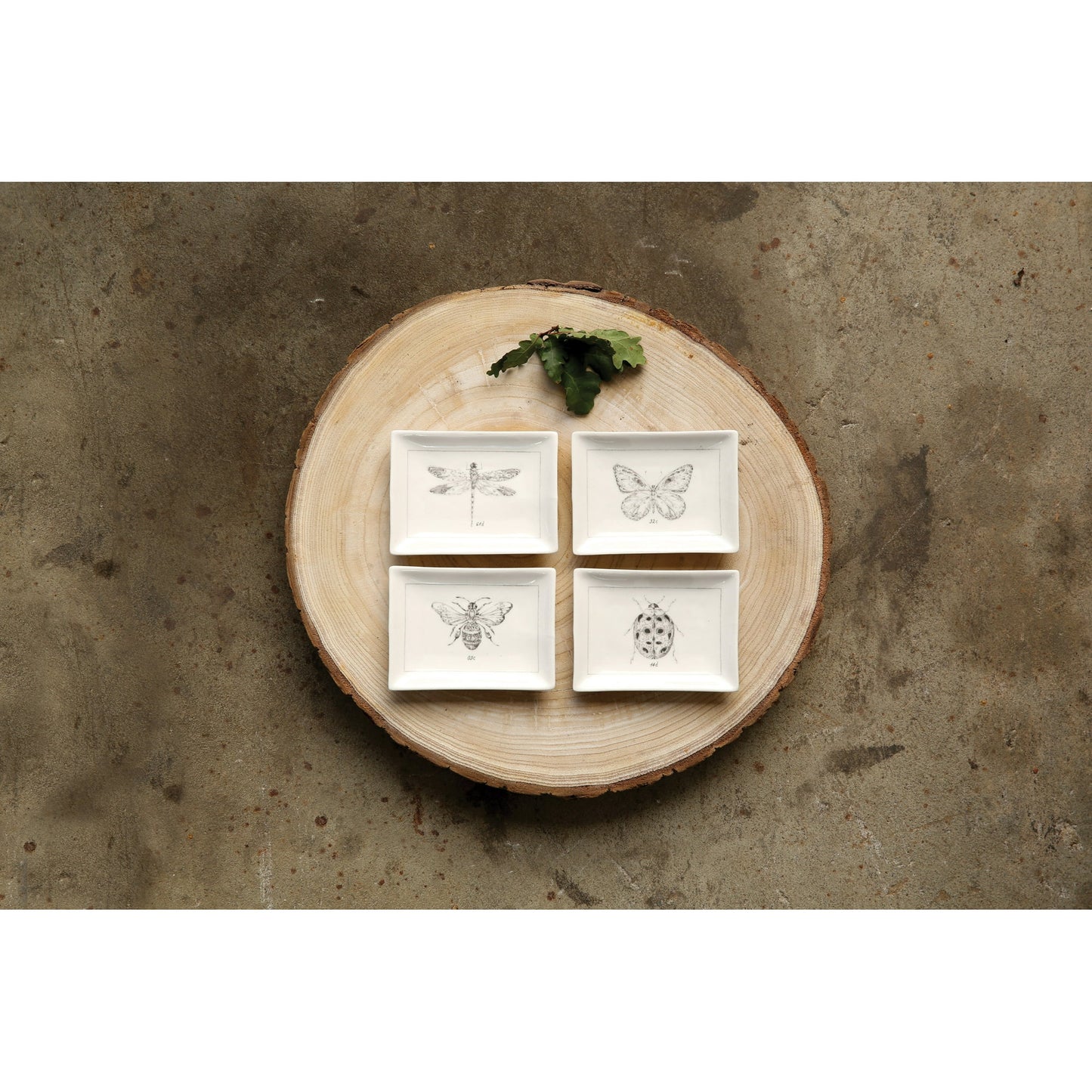 Rectangle Ceramic Dishes with Insect Images (Set of 4 Designs)