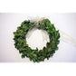Green wreath with a white ribbon on a white background