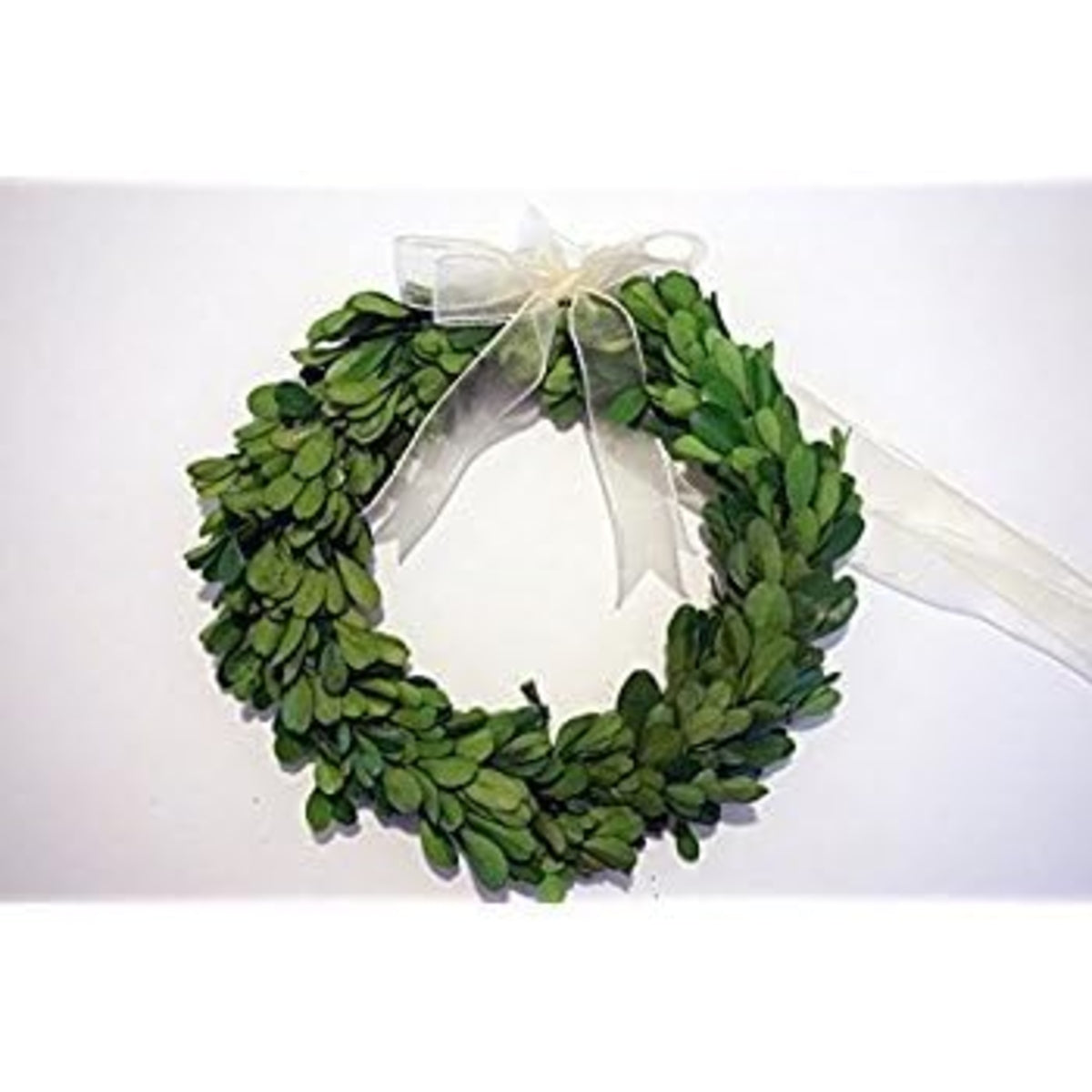 Green wreath with a white ribbon on a white background