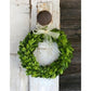 Green wreath with a white bow on a wooden door