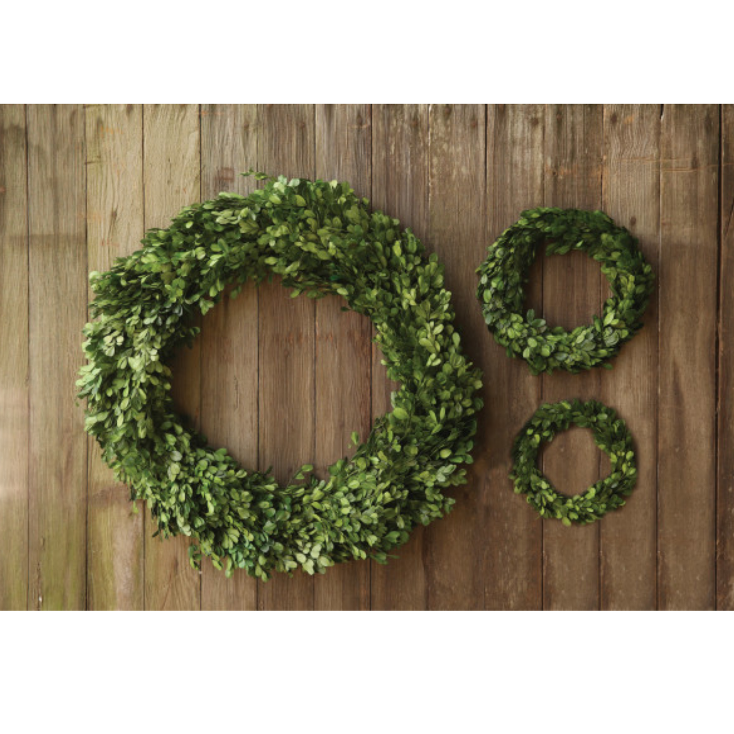 Preserved Genuine Boxwood Wreath