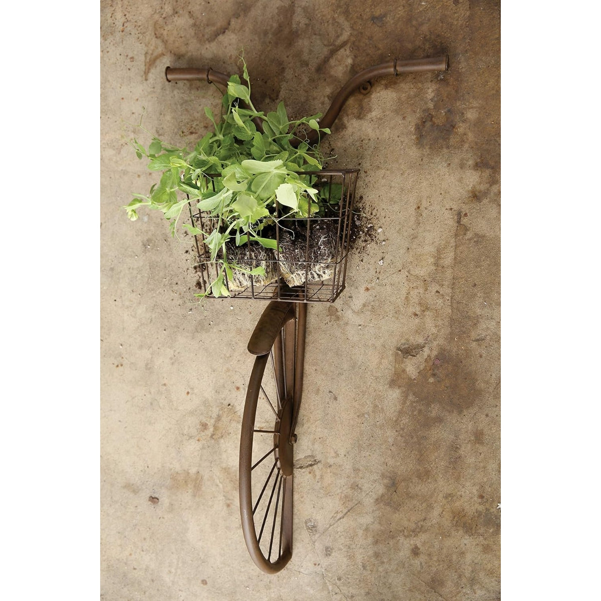 Vintage bicycle with a basket of plants attached to a textured wall.
