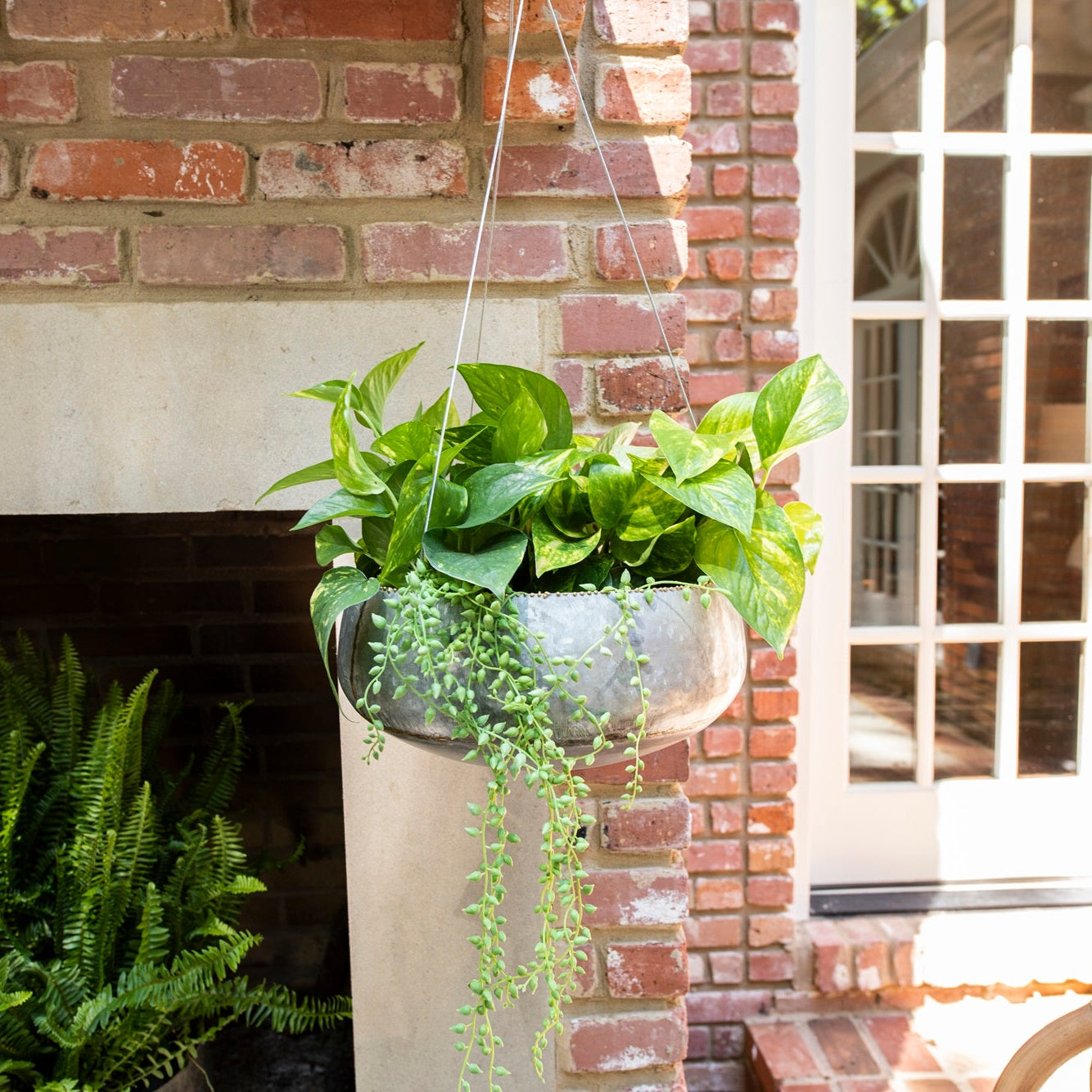 Hanging plant in a pot against a brick wall with a window in the background
