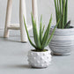 White Terracotta Planter 6.25" with Bubbled Design