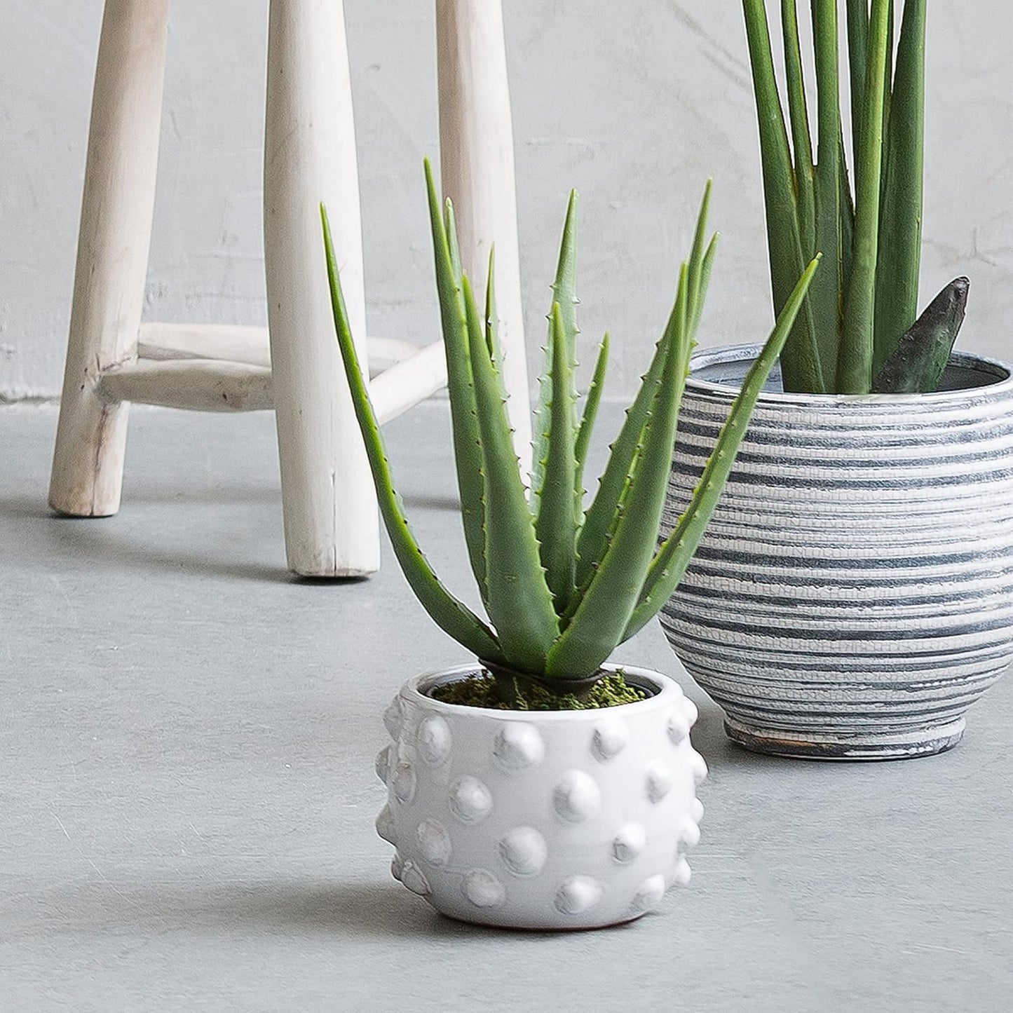 White Terracotta Planter 6.25" with Bubbled Design