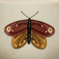 Stoneware Mugs with Painted Winged Insects (Set of 4 Styles)