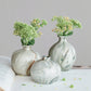 Green Stoneware Vases with Marbled Designs (Set of 3 Sizes)