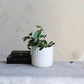 Cream Round Stoneware Planter with Woven Pattern in Reactive Glaze