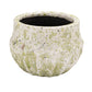 Textured green pot on a white background