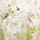 Close-up of a textured surface with green and white colors