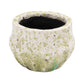 Textured green pot on a white background